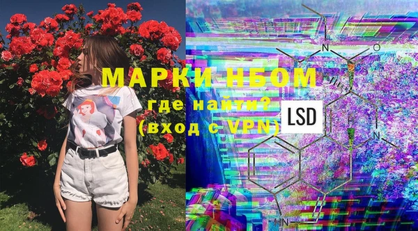 мяу мяу мука Аркадак