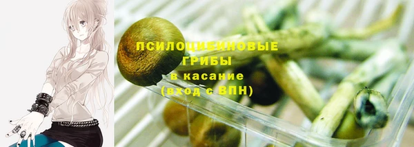 метадон Армянск