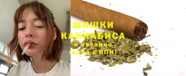 мяу мяу мука Аркадак